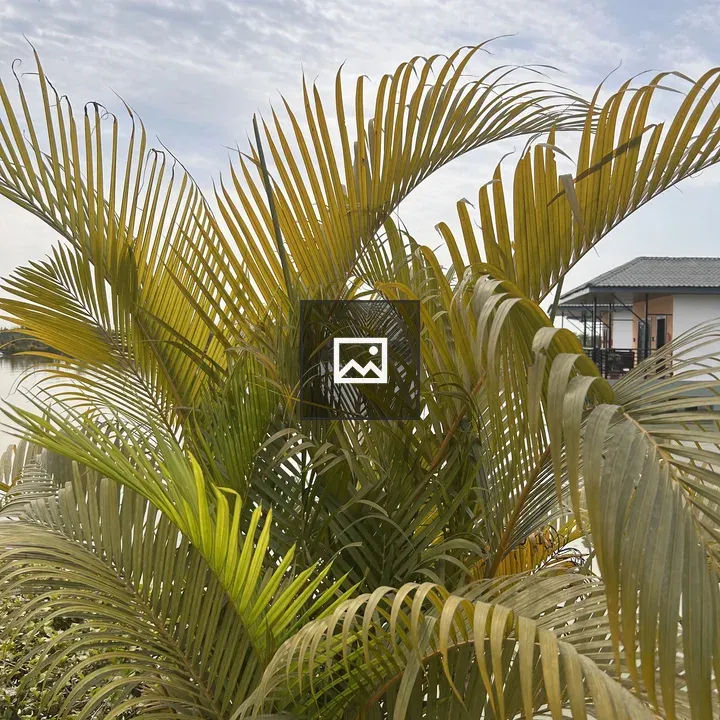 Cluster of palm fronds with cloudy sky