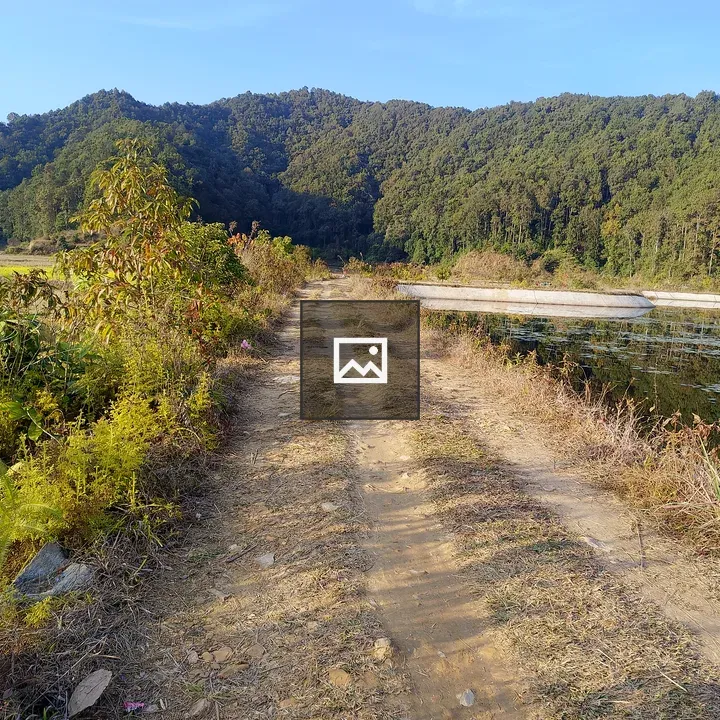 Dirt Path Beside Calm Water
