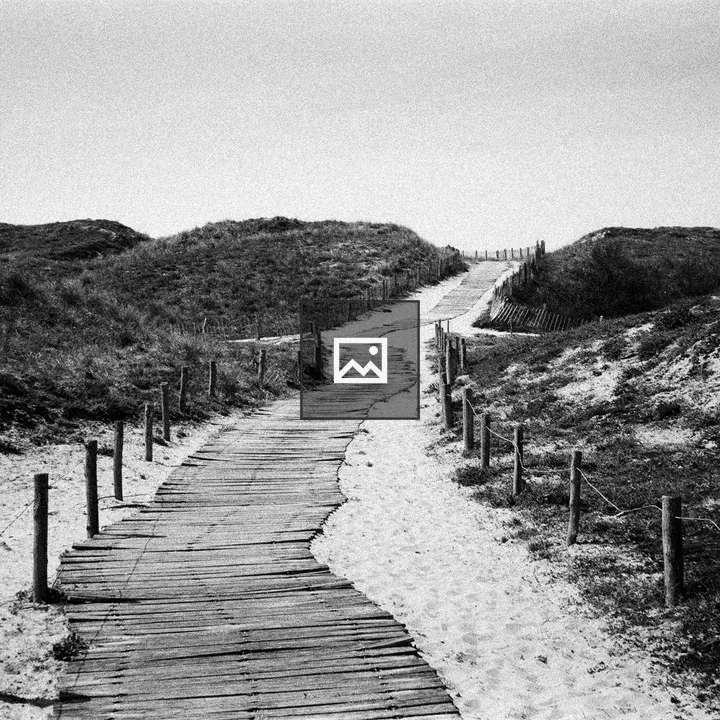 Path Through Dunes to Beach