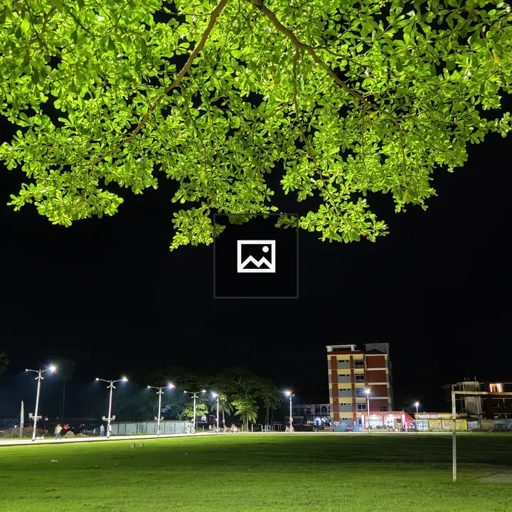 Night Playground in Nature