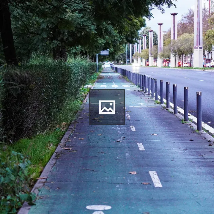 Paved Bicycle Lane by Road