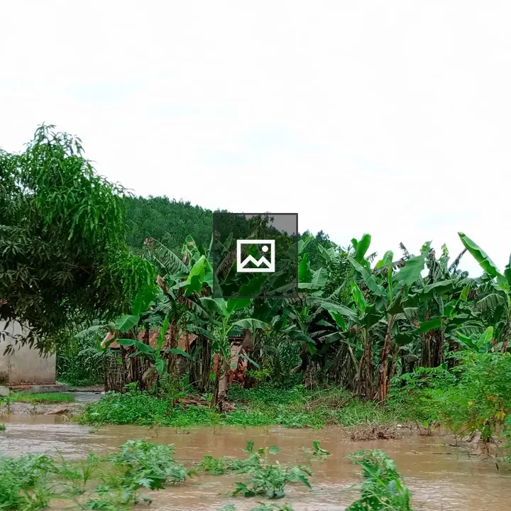 Flooded rural Uganda scene