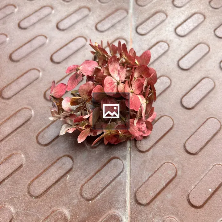 Dried red flowers on tile
