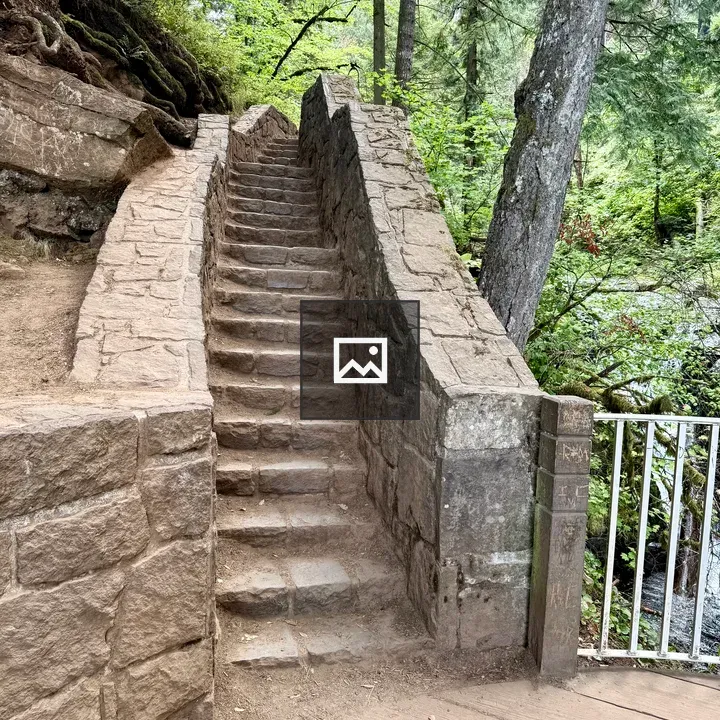 Mossy Stone Steps in Forest