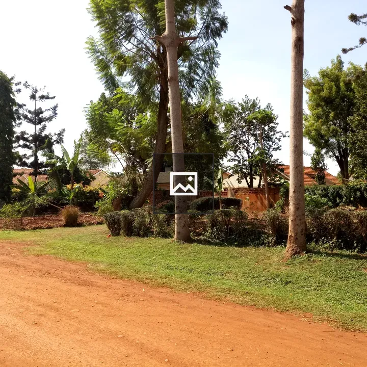 Roadside scene with trees and houses