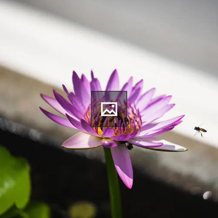 Flower close-up with bee
