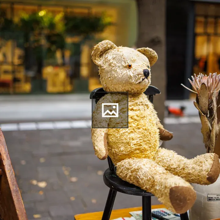 Teddy Bear in Tokyo Market
