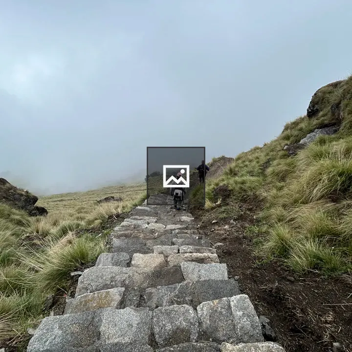 Hikers on Misty Stone Path