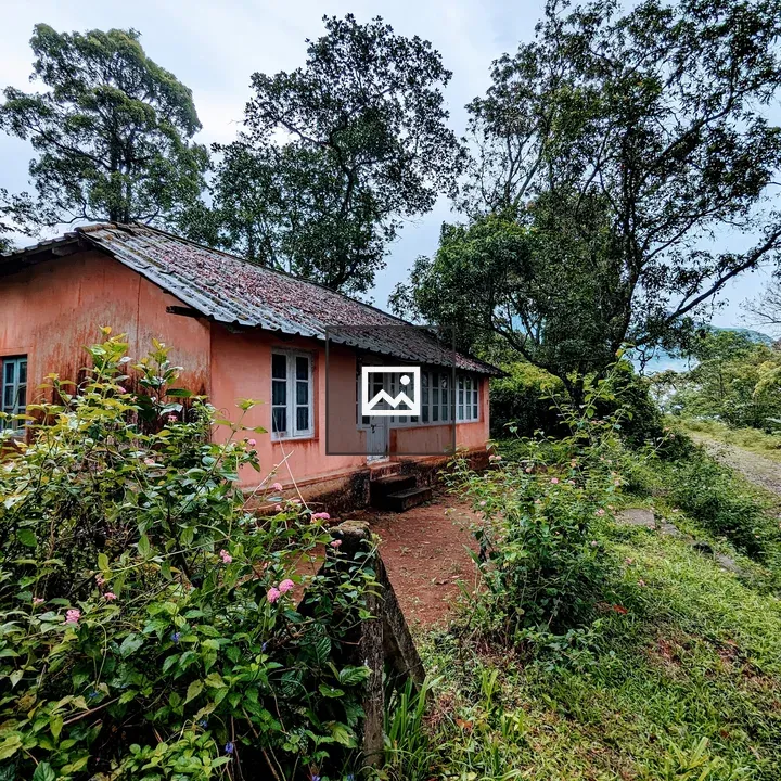 Orange house in portrait