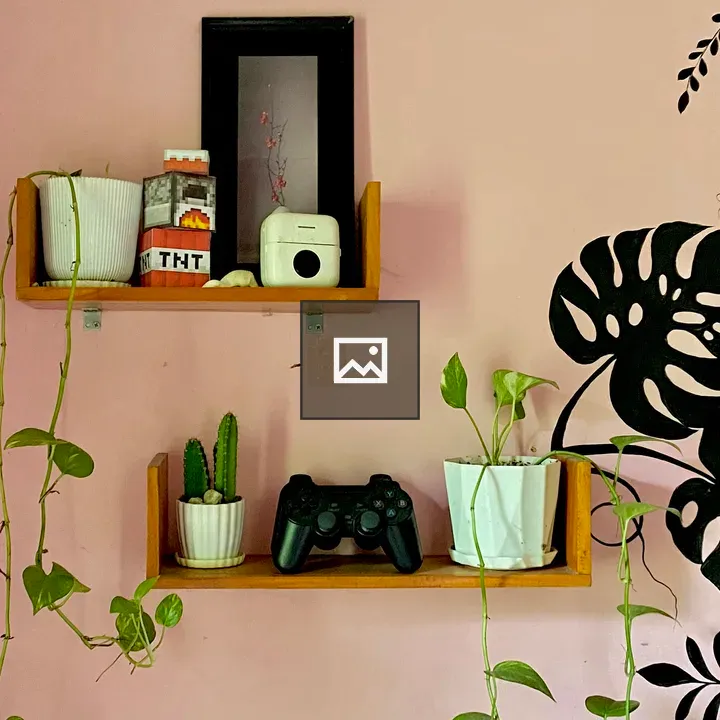 Pink Wall Mural with Flowerpot Shelf