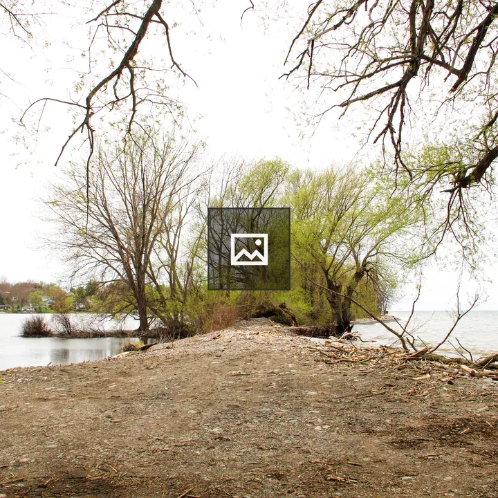 Lake Ontario and East Bay Landscape