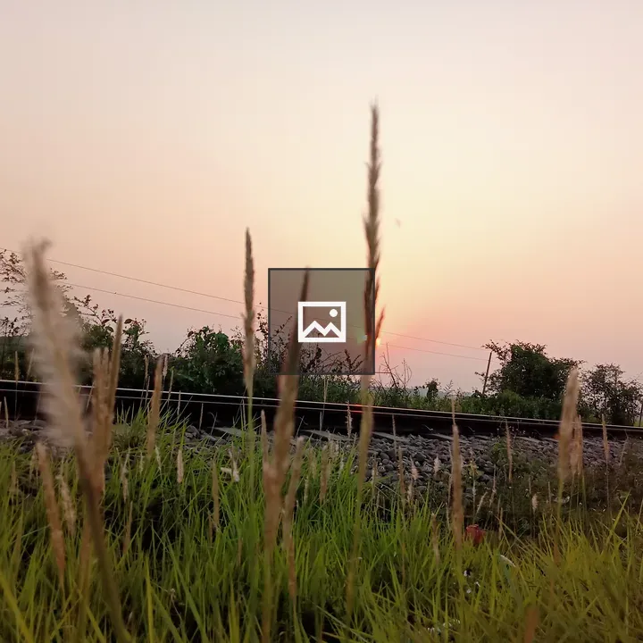 Sunset with Grasses and Train Track