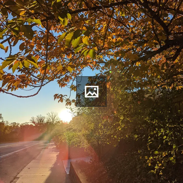 Sunset Behind Trees