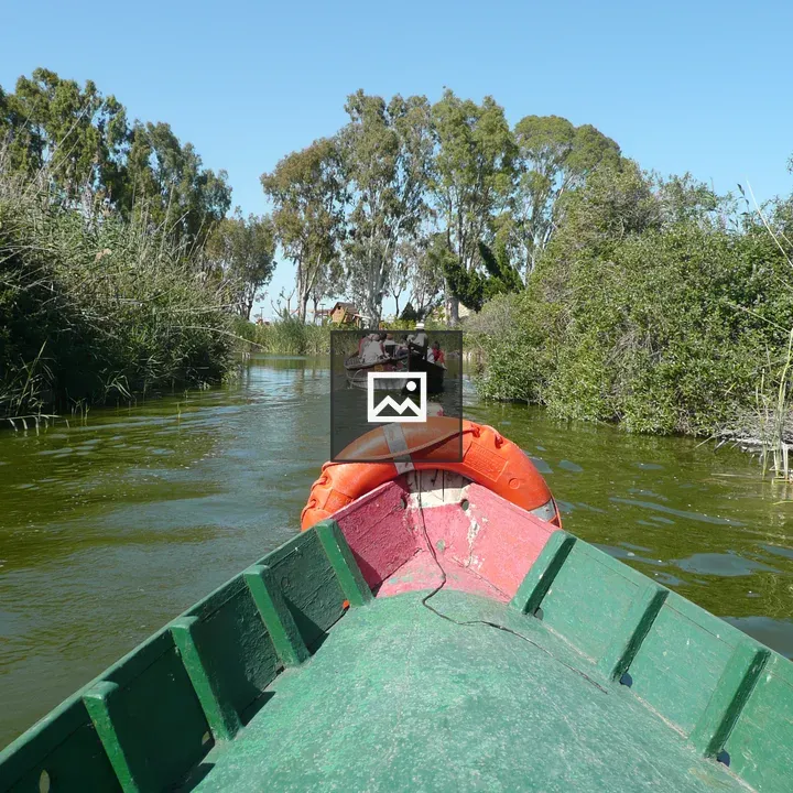 Canoe on a Green Waterway
