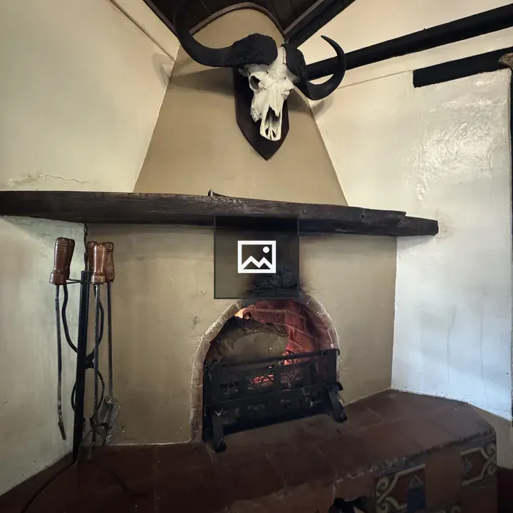 Fireplace with Skull Mantel