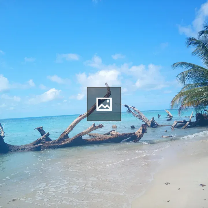 Beach scene with turquoise water and driftwood