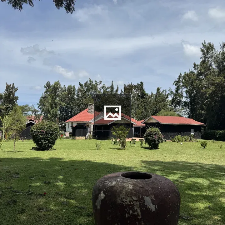 House with Red Roof and Pot