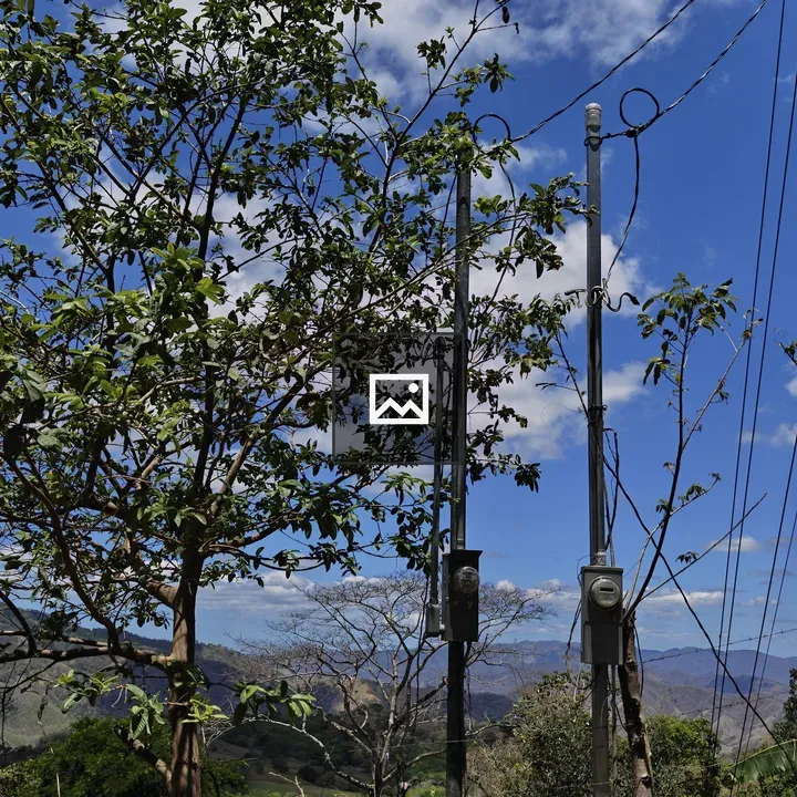 Sky, Trees, and Utility Poles