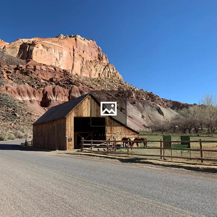 Wild West Barn and Horses
