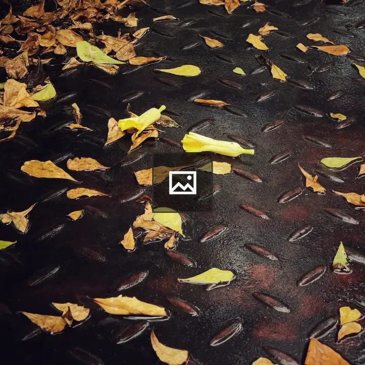 Leaves on metal steps