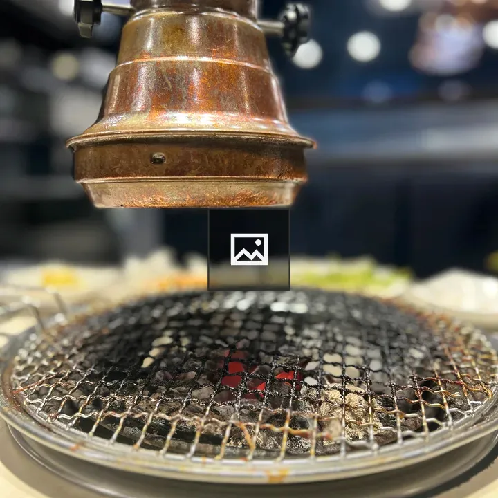 Close-up of Metal Grill and Vent