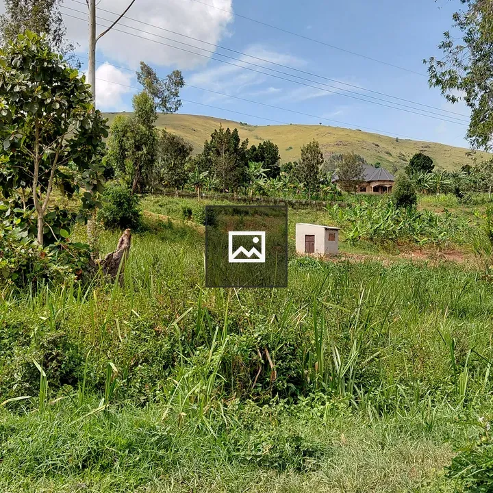 Tiny house in shrub landscape