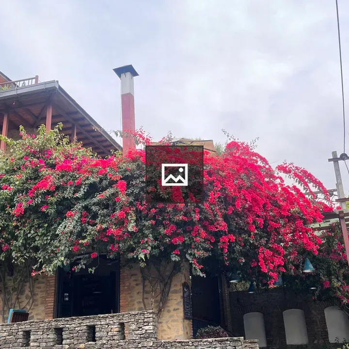 Stone building with bougainvillea