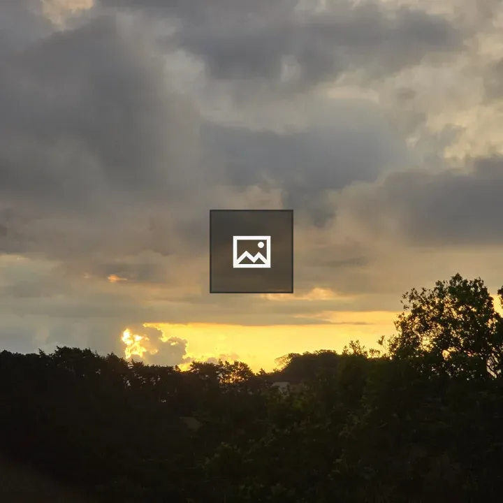 Sunset Trees Scene