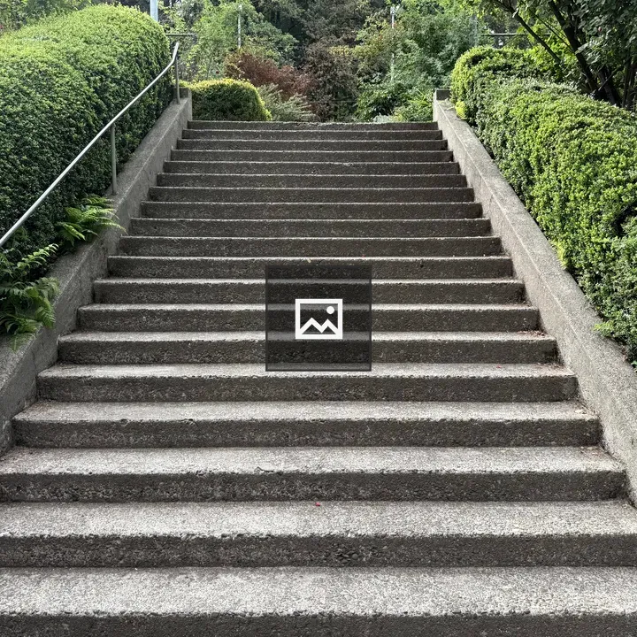 Concrete stairway with hedges