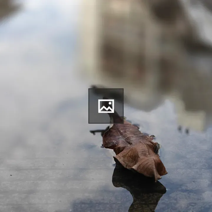 Brown Leaf on Puddle