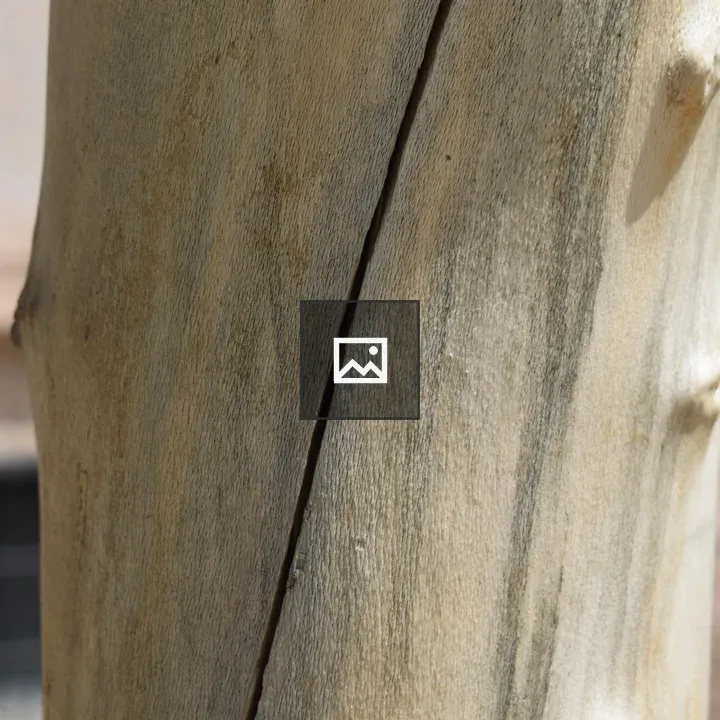 Close-up of wooden plank crack