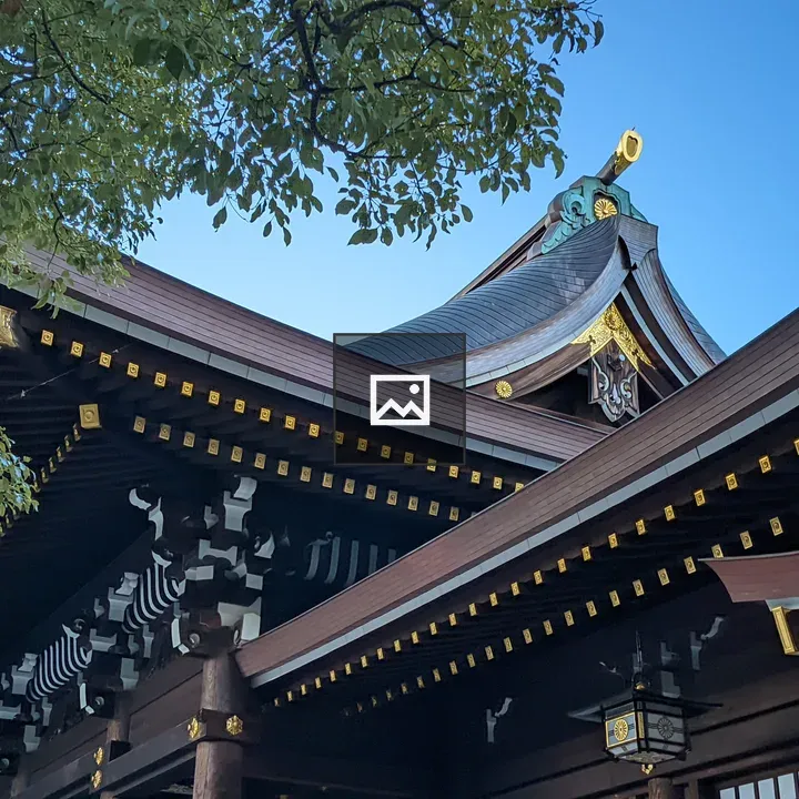 Traditional Japanese Roof