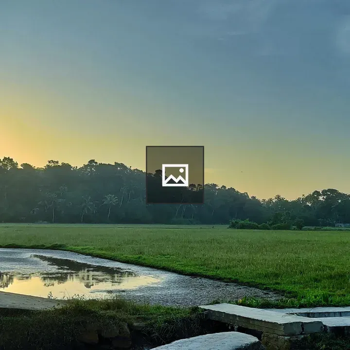 Paddy Field with Tractor on Bridge