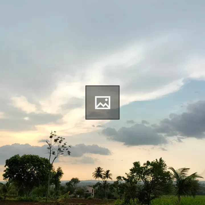 Landscape field with trees and palm