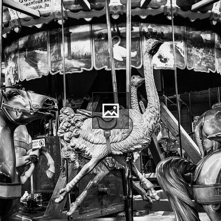 Antique carousel ostrich