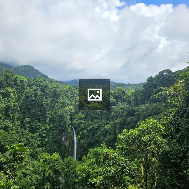 Waterfall in Green Forest Landscape
