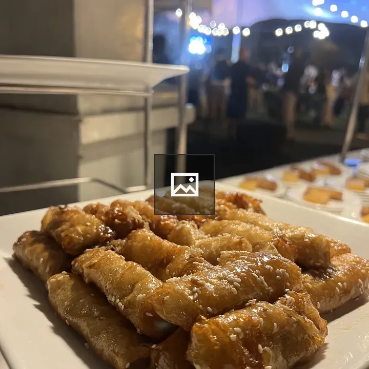 Plate of spring rolls