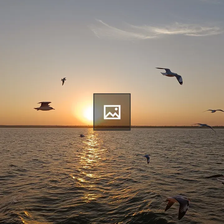 Seagulls over Naf River at Sunset