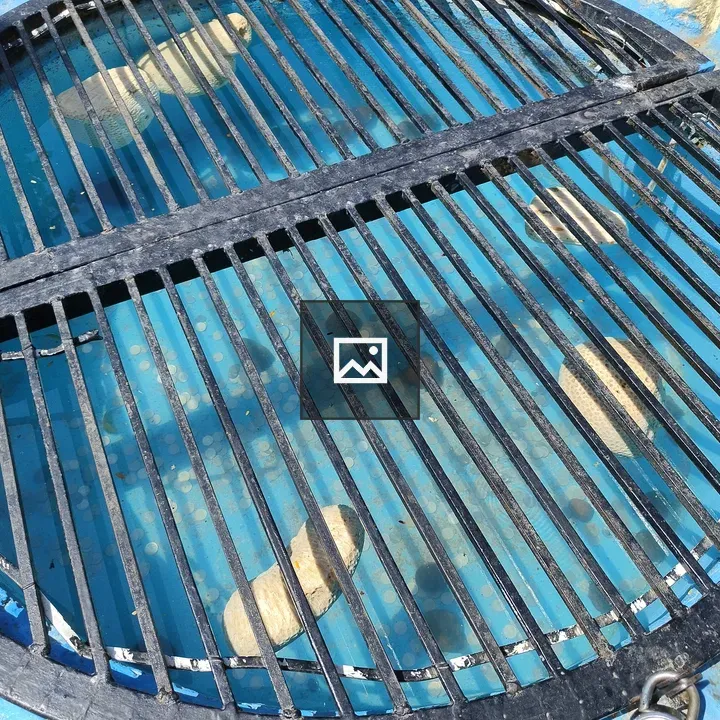 Circular grate over water opening