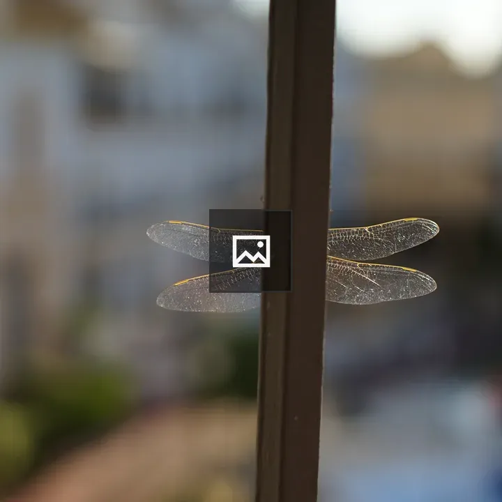 Dragonfly with Urban Background