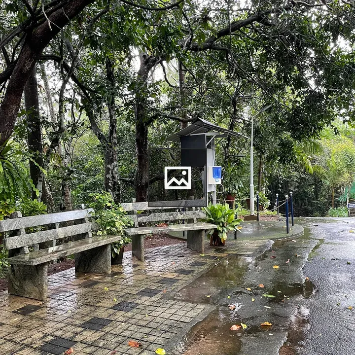 Traveler resting in nature after rain