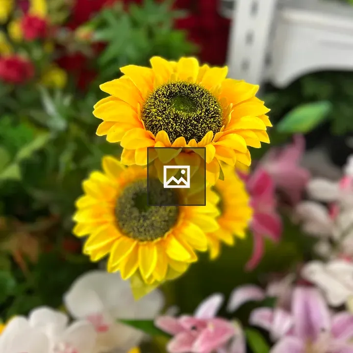 Sunflowers with Colorful Floral Background