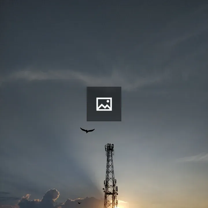 Bird by tower at sunset