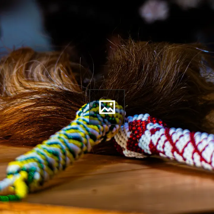 Traditional fly whisk with beadwork