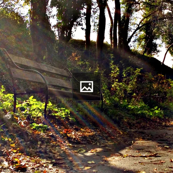 Park bench with lens flare