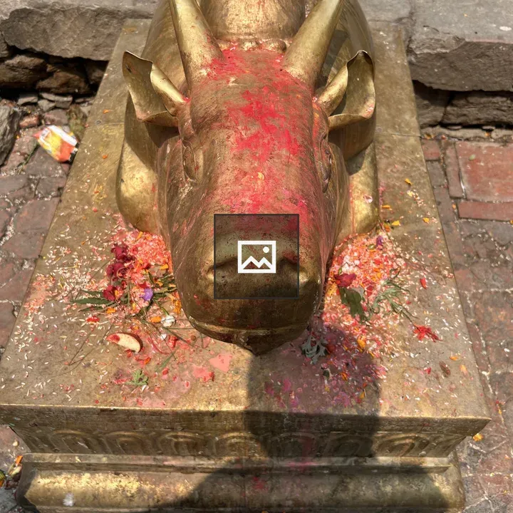 Gold Bull Statue with Red Powder