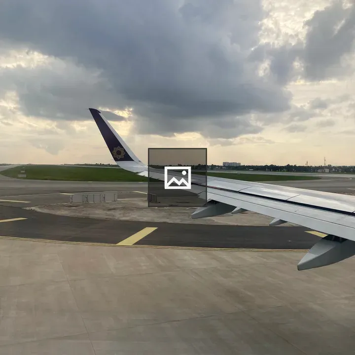Flight on Runway at Dawn