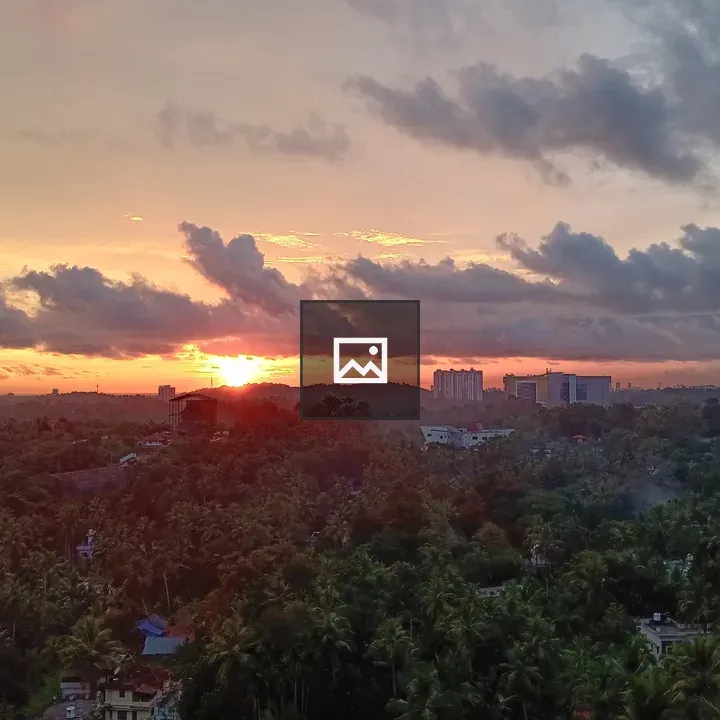 Sunset evening over trees
