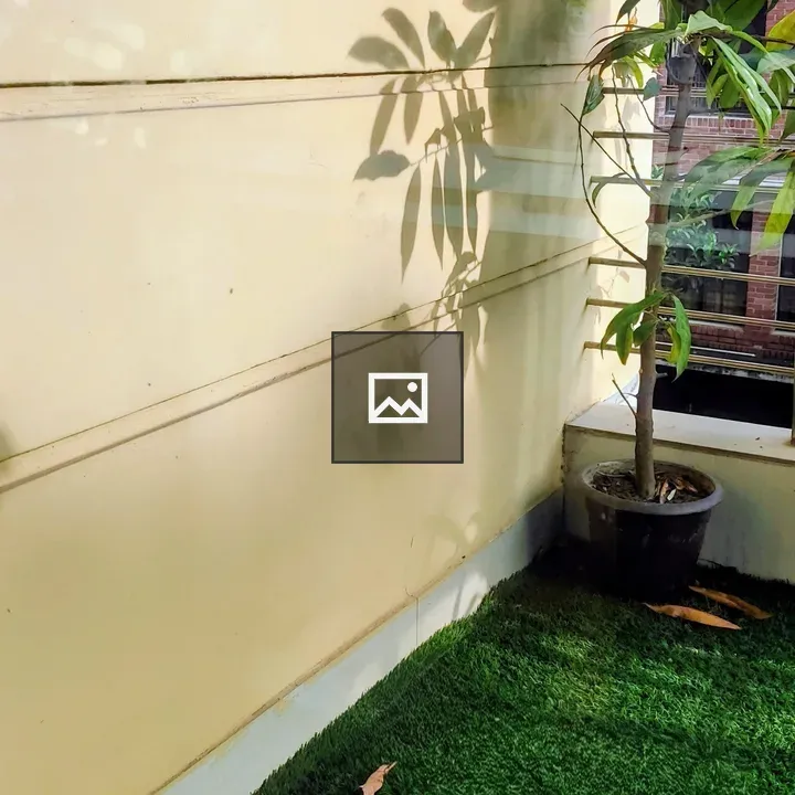 Potted plant by window shadow