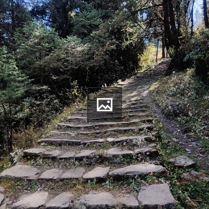 Stone staircase among trees